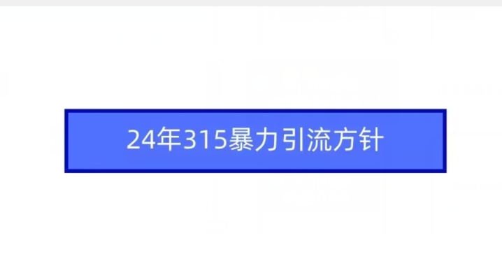 24年315暴力引流方针-零点项目大全