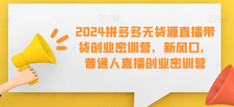 2024拼多多无货源直播带货创业密训营，新风口，普通人直播创业密训营-零点项目大全