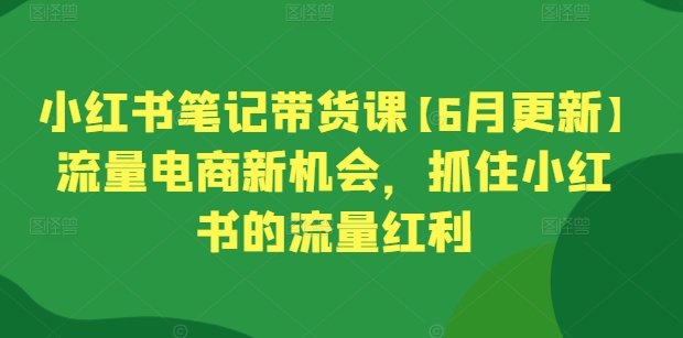 小红书笔记带货课【6月更新】流量电商新机会，抓住小红书的流量红利-零点项目大全