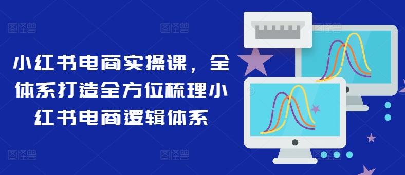 小红书电商实操课，全体系打造全方位梳理小红书电商逻辑体系-零点项目大全