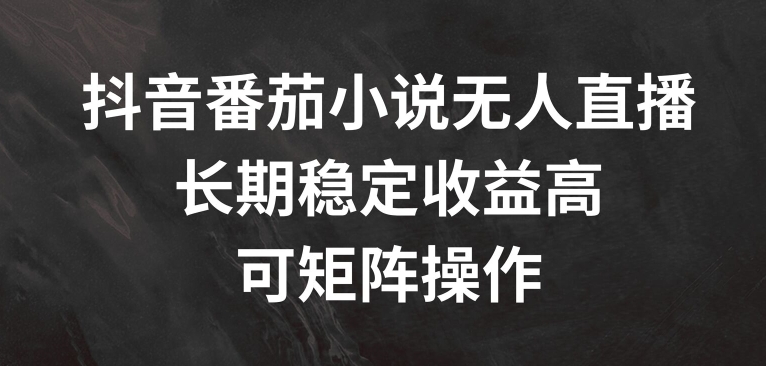 抖音番茄小说无人直播，长期稳定收益高，可矩阵操作【揭秘】-零点项目大全