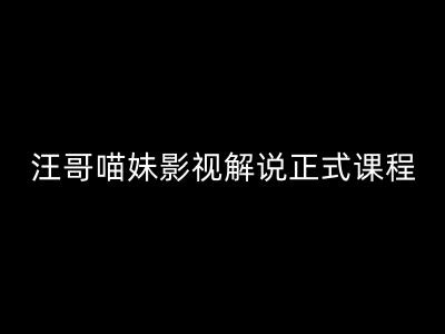 汪哥影视解说正式课程：剪映/PR教学/视解说剪辑5大黄金法则/全流程剪辑7把利器等等-零点项目大全