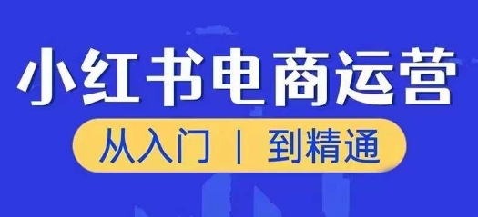 小红书电商运营课，从入门到精通，带你抓住又一个赚钱风口-零点项目大全