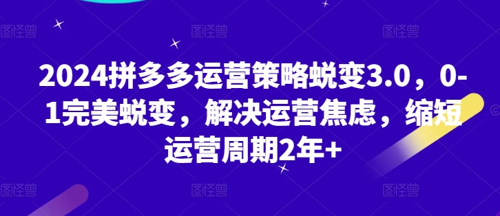 2024拼多多运营策略蜕变3.0，0-1完美蜕变，解决运营焦虑，缩短运营周期2年+-零点项目大全