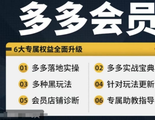 拼多多会员，拼多多实战宝典+实战落地实操，从新手到高阶内容全面覆盖-零点项目大全