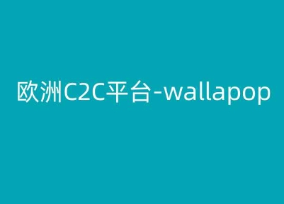 欧洲C2C平台-wallapop-kim跨境电商教程-零点项目大全