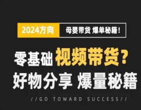 短视频母婴赛道实操流量训练营，零基础视频带货，好物分享，爆量秘籍-零点项目大全