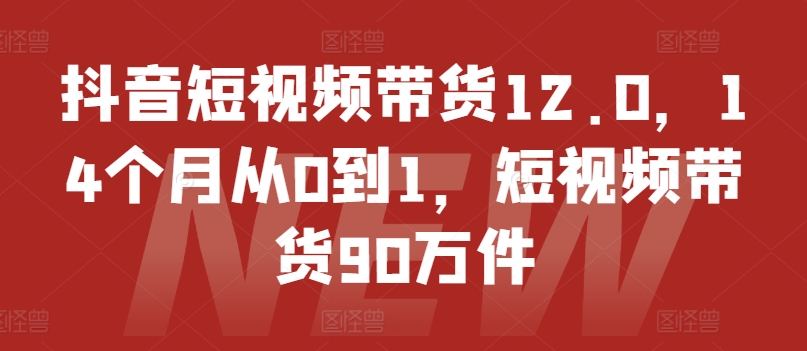 抖音短视频带货12.0，14个月从0到1，短视频带货90万件-零点项目大全