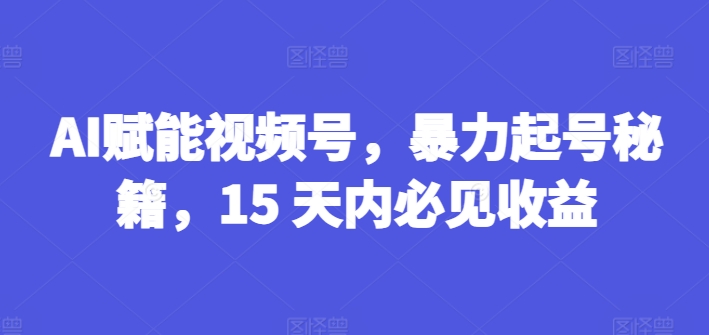 AI赋能视频号，暴力起号秘籍，15 天内必见收益【揭秘】-零点项目大全