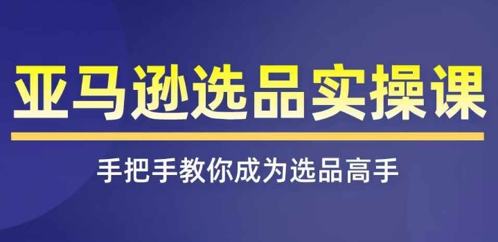 亚马逊选品实操课程，快速掌握亚马逊选品的技巧，覆盖亚马逊选品所有渠道-零点项目大全