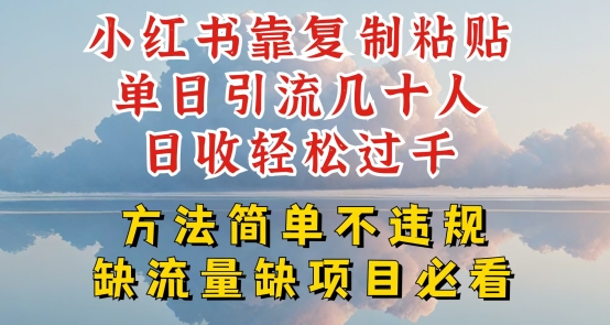 小红书靠复制粘贴单日引流几十人目收轻松过千，方法简单不违规【揭秘】-零点项目大全