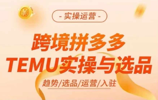 跨境拼多多TEMU实操与选品，多多temu跨境选品运营实操-零点项目大全