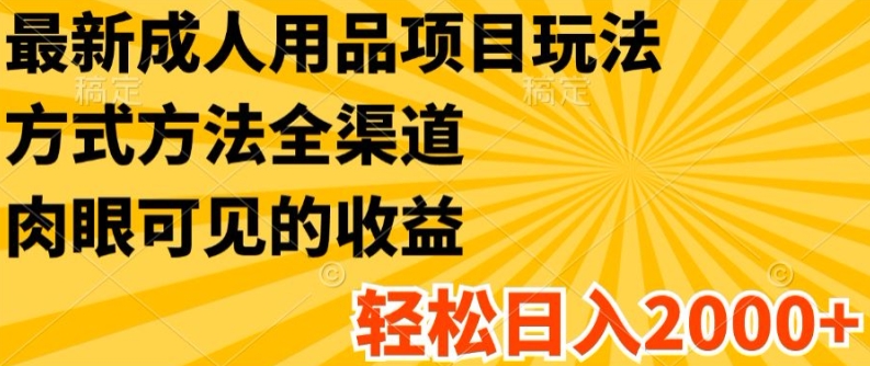 最新成人用品项目玩法，方式方法全渠道，轻松日入2K+【揭秘】-零点项目大全