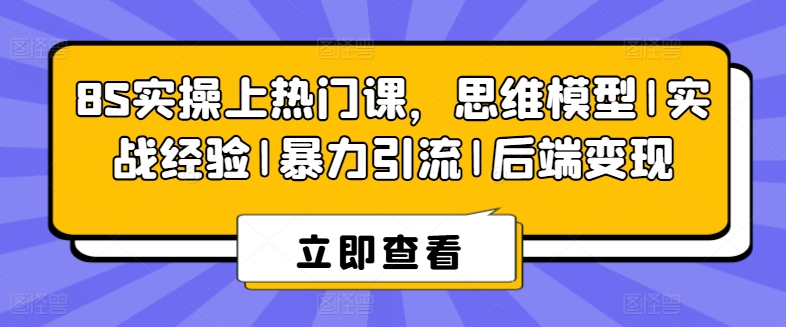 8S实操上热门课，思维模型|实战经验|暴力引流|后端变现-零点项目大全