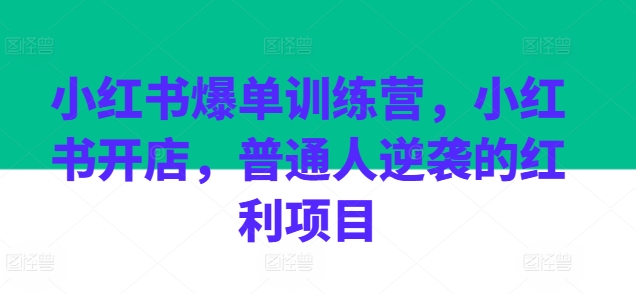 小红书爆单训练营，小红书开店，普通人逆袭的红利项目-零点项目大全