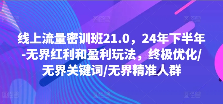 线上流量密训班21.0，24年下半年-无界红利和盈利玩法，终极优化/无界关键词/无界精准人群-零点项目大全