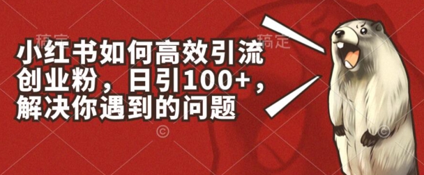 小红书如何高效引流创业粉，日引100+，解决你遇到的问题【揭秘】-零点项目大全