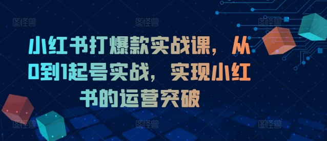 小红书打爆款实战课，从0到1起号实战，实现小红书的运营突破-零点项目大全