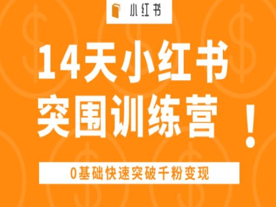 14天小红书突围训练营 ，0基础快速突破千粉变现-零点项目大全