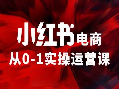 小红书电商从0-1实操运营课，让你从小白到精英-零点项目大全