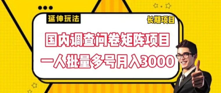 国内调查问卷矩阵项目，一人批量多号月入3000【揭秘】-零点项目大全