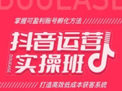 抖音运营实操班，掌握可盈利账号孵化方法，打造高效低成本获客系统-零点项目大全