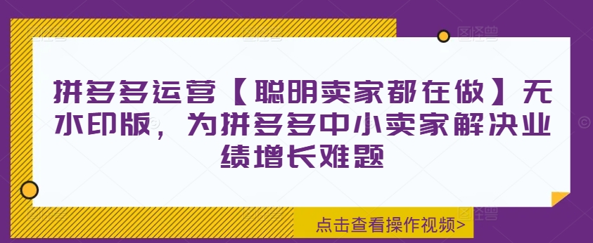 拼多多运营【聪明卖家都在做】无水印版，为拼多多中小卖家解决业绩增长难题-零点项目大全