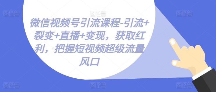 微信视频号引流课程-引流+裂变+直播+变现，获取红利，把握短视频超级流量风口-零点项目大全