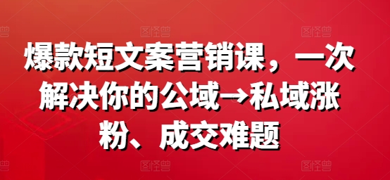 爆款短文案营销课，一次解决你的公域→私域涨粉、成交难题-零点项目大全