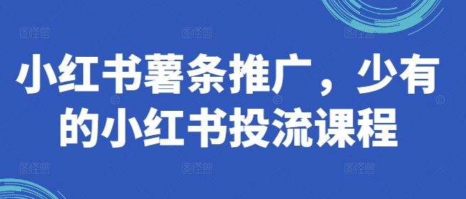 小红书薯条推广，少有的小红书投流课程-零点项目大全