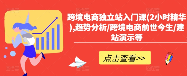 跨境电商独立站入门课(2小时精华),趋势分析/跨境电商前世今生/建站演示等-零点项目大全