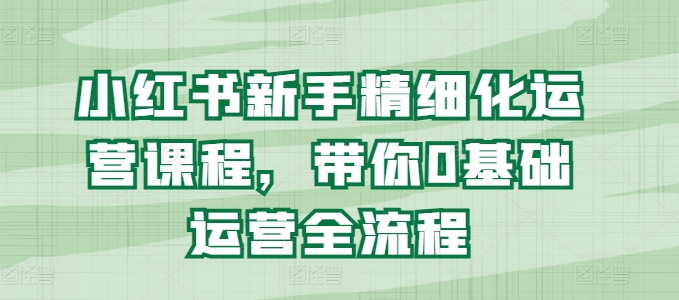 小红书新手精细化运营课程，带你0基础运营全流程-零点项目大全