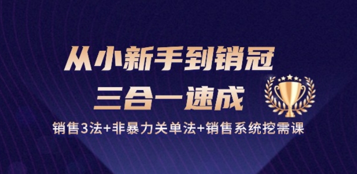 从小新手到销冠 三合一速成：销售3法+非暴力关单法+销售系统挖需课 (27节)-零点项目大全