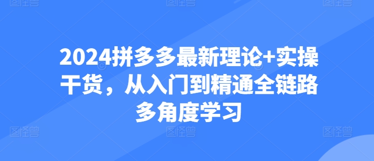 2024拼多多最新理论+实操干货，从入门到精通全链路多角度学习-零点项目大全