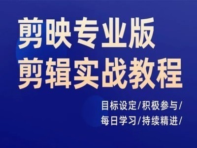 剪映专业版剪辑实战教程，目标设定/积极参与/每日学习/持续精进-零点项目大全