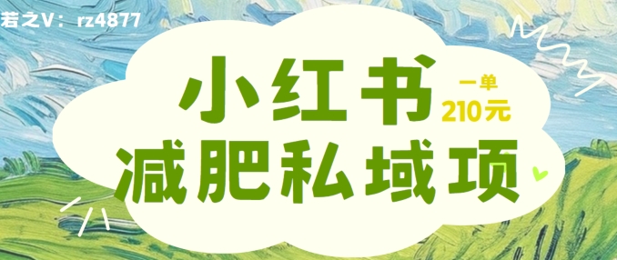 小红书减肥粉，私域变现项目，一单就达210元，小白也能轻松上手【揭秘】-零点项目大全