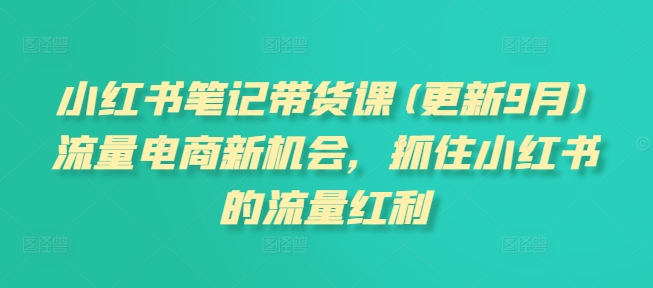 小红书笔记带货课(更新9月)流量电商新机会，抓住小红书的流量红利-零点项目大全