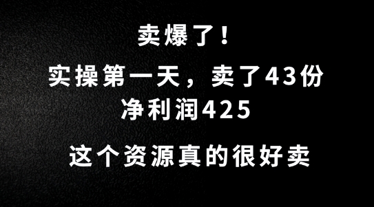 这个资源，需求很大，实操第一天卖了43份，净利润425【揭秘】-零点项目大全