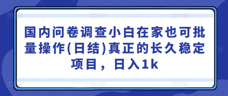 国内问卷调查小白在家也可批量操作(日结)真正的长久稳定项目，日入1k【揭秘】-零点项目大全