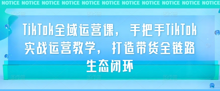 TikTok全域运营课，手把手TikTok实战运营教学，打造带货全链路生态闭环-零点项目大全