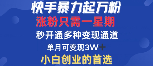 快手暴力起万粉，涨粉只需一星期，多种变现模式，直接秒开万合，单月变现过W【揭秘】-零点项目大全