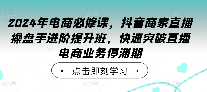 2024年电商必修课，抖音商家直播操盘手进阶提升班，快速突破直播电商业务停滞期-零点项目大全