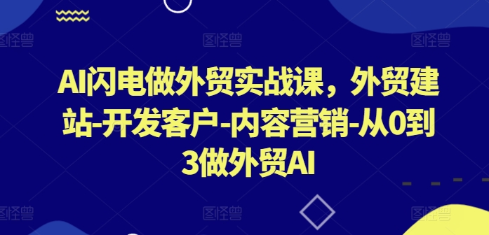 AI闪电做外贸实战课，​外贸建站-开发客户-内容营销-从0到3做外贸AI（更新）-零点项目大全