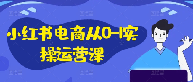 小红书电商从0-1实操运营课，小红书手机实操小红书/IP和私域课/小红书电商电脑实操板块等-零点项目大全