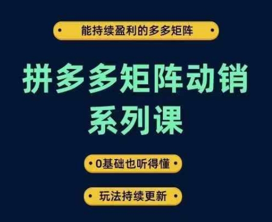 拼多多矩阵动销系列课，能持续盈利的多多矩阵，0基础也听得懂，玩法持续更新-零点项目大全