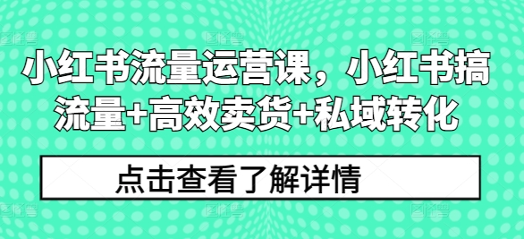 小红书流量运营课，小红书搞流量+高效卖货+私域转化-零点项目大全