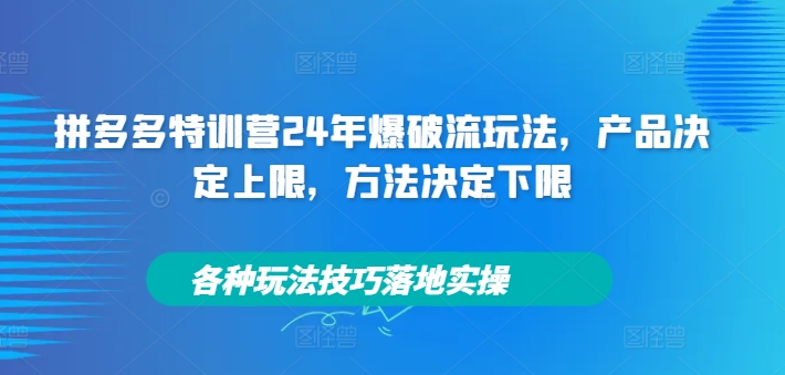 拼多多特训营24年爆破流玩法，产品决定上限，方法决定下限，各种玩法技巧落地实操-零点项目大全